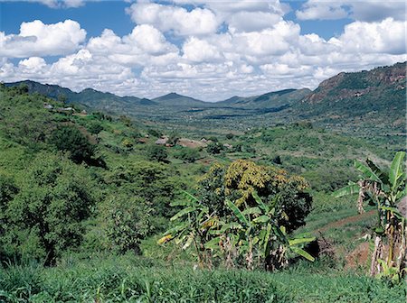 subsistence agriculture - Fertile farming country in Makueni district,southeast of Nairobi. Foto de stock - Con derechos protegidos, Código: 862-03366395