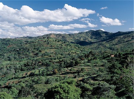 simsearch:862-03355431,k - Fertile agricole des pays dans le district de Makueni, au sud-est de Nairobi. Photographie de stock - Rights-Managed, Code: 862-03366396
