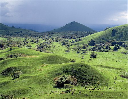 farm scene and africa - Cone-shaped hills dot the landscape on the 7,000-foot-high Chyulu Hills. This beautiful range is of relatively young volcanic origin. Foto de stock - Con derechos protegidos, Código: 862-03366391