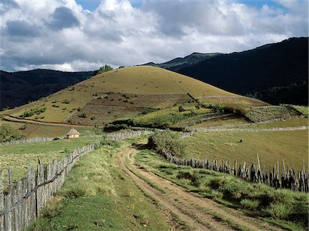 simsearch:862-03355431,k - Un petit chemin de terre serpente agriculture beau pays au sommet des collines de Cherangani de 11 000 pieds de haut. Là, les petites exploitations Pokot paysans cultivent maïs, pommes de terre et le pyrèthre et garder le bétail. Photographie de stock - Rights-Managed, Code: 862-03366392