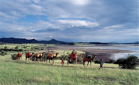 simsearch:700-08171608,k - Maasai men lead a camel caravan laden with equipment for a 'fly camp' (a small temporary camp) close to Lake Magadi in beautiful late afternoon sunlight. Stock Photo - Rights-Managed, Code: 862-03366425