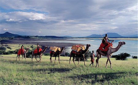simsearch:851-02963281,k - Maasai men lead a camel caravan laden with equipment for a 'fly camp' (a small temporary camp) close to Lake Magadi in beautiful late afternoon sunlight. Stock Photo - Rights-Managed, Code: 862-03366426