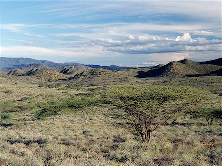 Semi-arid thorn scrub best describes the vegetation of northern Samburuland where semi-nomadic pastoralists eke out a living from an unforgiving land. The region is characterised by grand vistas,poor soil and an unreliable rainfall. The Ndoto Mountains can be seen in the far distance. Stock Photo - Rights-Managed, Code: 862-03366420