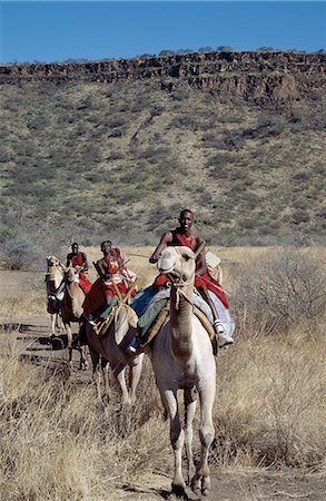 Maasai men ride camels in the dry bush country at Olorgasailie,situated between Nairobi and Lake Magadi. Foto de stock - Direito Controlado, Número: 862-03366431