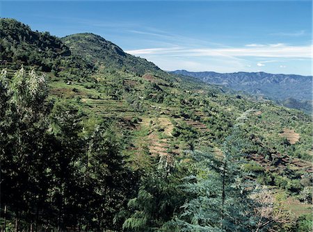 A fine view from the cultivated slopes of the Tugen Hills looking across the Kerio Valley to the Keiyo Escarpment rising in the distance. This escarpment forms the western wall of the Gregory Rift one of the most spectacular stretches of Africa's remarkable Great Rift Valley. Stock Photo - Rights-Managed, Code: 862-03366432