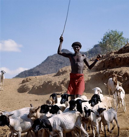 shepherd with goats - Up to a year before his circumcision,a Samburu boy will style his hair is a distinctive 'pudding bowl' shape and often rub charcoal and fat into it.Uncircumcised boys are considered children whatever their age. They have no standing in the tribe and do not belong to an age-set.. Stock Photo - Rights-Managed, Code: 862-03366537