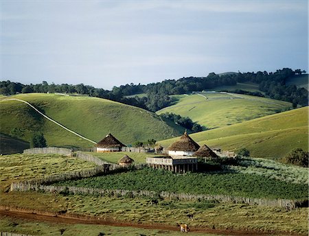 Traditional African houses surrounded by good pasture on the top of the Cherangani Hills. The raised platform is used by the farmer as a sheep pen at night. Stock Photo - Rights-Managed, Code: 862-03366532