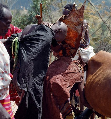 The evening before a Samburu boy is circumcised,he must lean over his mother under a special ochred goatskin cape as she milks a cow that has not given birth more than twice. This milk will be kept overnight in a traditional wooden gourd-like container and will be poured over the boy's head just before he is circumcised early the next morning. Stock Photo - Rights-Managed, Code: 862-03366543