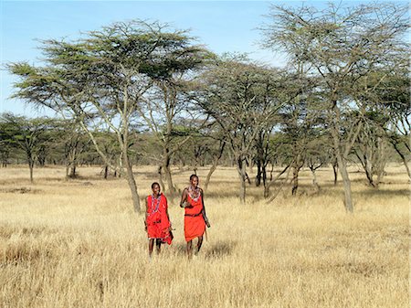 Two Maasai men stride through acacia woodlands in their traditional red attire,Masai Mara,Kenya Stock Photo - Rights-Managed, Code: 862-03366676
