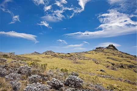 Kenya,Kenya Highlands. The bleak moorlands of the Aberdare Mountains with Oldoinyo Le Satima,the highest point of the range,rising to 13,123 feet in the distance. Foto de stock - Con derechos protegidos, Código: 862-03366715