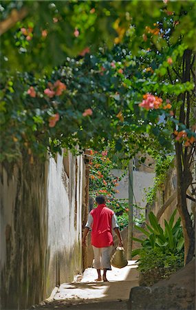 Au Kenya, l'île de Lamu, Shela. Une rue étroite à Shela sur l'île de Lamu. Photographie de stock - Rights-Managed, Code: 862-03366740