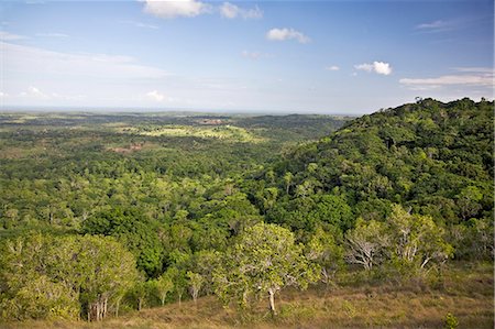 simsearch:862-03366821,k - Kenya,Kwale District,Shimba Hills. Part of the indigenous coastal forest on the Shimba Hills,south of Mombasa,with the Indian Ocean in the far distance. Stock Photo - Rights-Managed, Code: 862-03366787