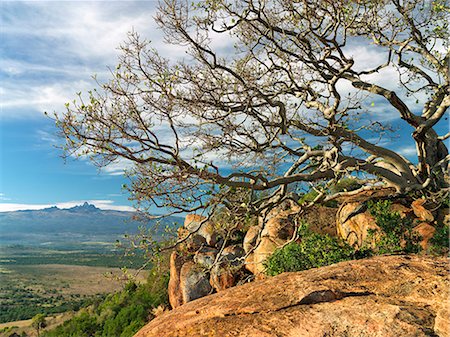 Kenya,Nanyuki District. Majestic Mount Kenya in the early morning from the Loldaiga Hills. Stock Photo - Rights-Managed, Code: 862-03366795