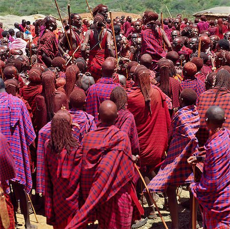 Africa,Kenya,Kajiado District,Ol doinyo Orok. A large gathering of Maasai warriors dance at the start of an Eunoto ceremony when the warriors become junior elders and thenceforth are permitted to marry. Stock Photo - Rights-Managed, Code: 862-03366907