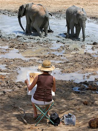 Kenya,Tsavo East,Ithumba. A wildlife artist paints young elephants enjoying a mud bath at Ithumba where the David Sheldrick Wildlife Trust runs a very important unit for orphans. Stock Photo - Rights-Managed, Code: 862-03366918