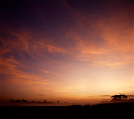 simsearch:862-03366389,k - Kenya,Narok,Loita. Dawn mist in the Loita Hills. Stock Photo - Rights-Managed, Code: 862-03366952