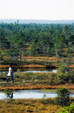 Protected Land of Bogs and Marshes,Kemeri National Park. Tourists on Boardwalk Marked Trail Stock Photo - Rights-Managed, Code: 862-03367101