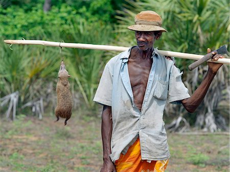 A Malagasy man with a tenrec (Tenrec ecaudatus). The meat of this primitive mammal,endemic to Madagascar,is a delicacy among the local population.The Tenrecinae family consists of 24 different species. Ecaudatus is not only the largest of these but also the largest insectivore in the world. Stock Photo - Rights-Managed, Code: 862-03367266