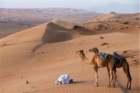 A Bedu kneels to pray in the desert,holding his camels by their halters to prevent them wandering off amongst the dunes Stock Photo - Rights-Managed, Code: 862-03360152