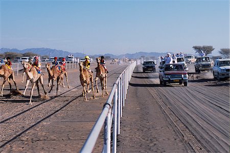 Spectators follow alongside the racing camels in four wheel drive vehicles,shouting instructions and encouragement and generally adding to the excitement and confusionn of the event at Al Shaqiyah races. Fotografie stock - Rights-Managed, Codice: 862-03360165