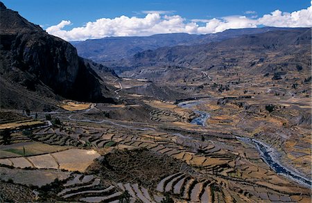 Terraced fields of the Colca Valley Foto de stock - Con derechos protegidos, Código: 862-03360444