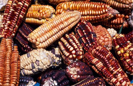simsearch:862-03360473,k - Maize from Pisac market Foto de stock - Con derechos protegidos, Código: 862-03360460