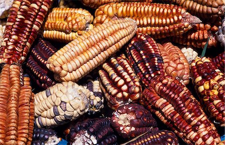 Maize from Pisac market Stock Photo - Rights-Managed, Code: 862-03360460