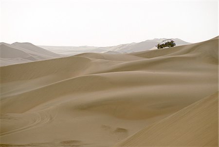 simsearch:862-03437004,k - A tourist dune buggy looks out across the sand dunes near Huacachina,in southern Peru. Foto de stock - Con derechos protegidos, Código: 862-03360526