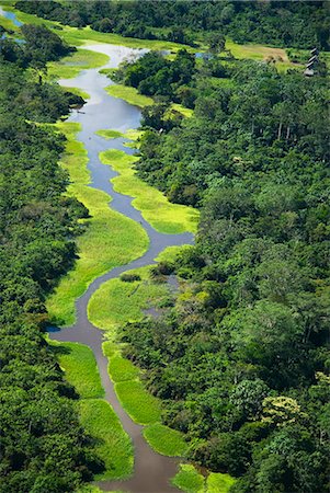 péruvien (relatif à) - Pérou, Amazon, Amazon River. Vue aérienne de la forêt tropicale près de Iquitos. Photographie de stock - Rights-Managed, Code: 862-03360666