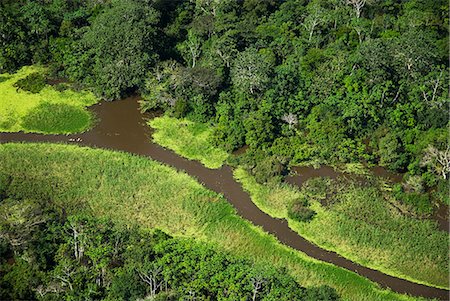 Pérou, Amazon, Amazon River. Vue aérienne de la forêt tropicale près de Iquitos. Photographie de stock - Rights-Managed, Code: 862-03360667