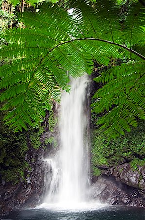 Philippines,South East Luzon,Bicol Province. Mount Isarog National Park - Malabsay Waterfall. Foto de stock - Con derechos protegidos, Código: 862-03360770