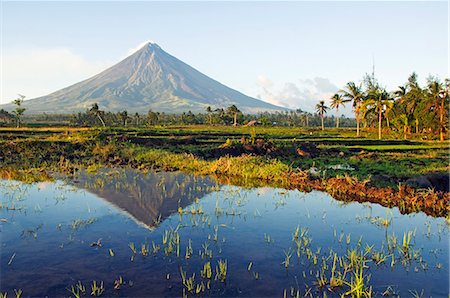 philippine nature - Philippines,Luzon Island,Bicol Province,Mount Mayon (2462m). Near perfect volcano cone with a plume of smoke and reflection in the water. Stock Photo - Rights-Managed, Code: 862-03360773