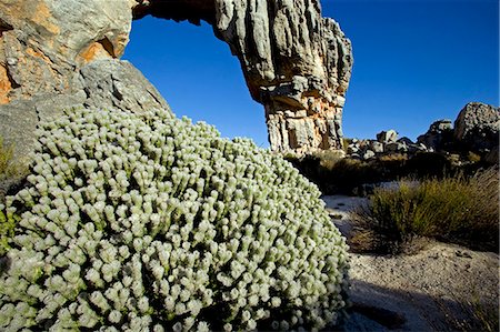 simsearch:862-03361267,k - South Africa,Western Cape,Cederberg Conservancy. Wolfberg Arch,a natural rock arch which forms a highlight on the hiking trails that criss cross the area. Stock Photo - Rights-Managed, Code: 862-03361249