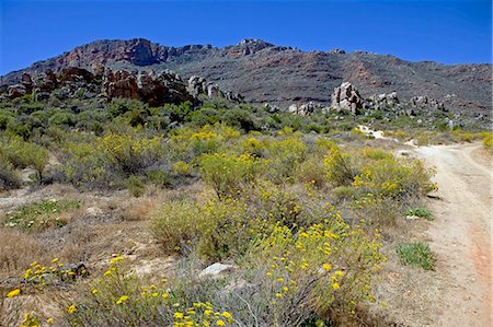 Afrique du Sud, Western Cape, Cederberg Conservancy. Cederberg, abrite le célèbre vignoble est la plaque tournante pour un certain nombre des meilleurs sentiers que criss cross la conservation. Photographie de stock - Rights-Managed, Code: 862-03361241