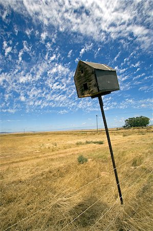 farmland south africa - South Africa,Western Cape,Swartland,Darling. An abandoned bird box leaning lazily to one side on farmland near the small town of Darling. Stock Photo - Rights-Managed, Code: 862-03361261