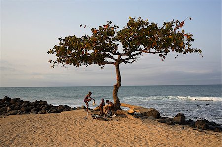 santomean - An Acacia tree on the edge of the city of Sao Tomé,where young people go to bathe. Sao Tomé and Principé is Africa's second smallest country with a population of 193 000. It consists of two mountainous islands in the Gulf of New Guinea,straddling the equator,west of Gabon. Stock Photo - Rights-Managed, Code: 862-03361297