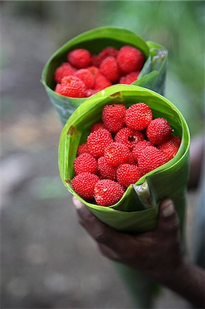 simsearch:862-03361282,k - Wild raspberries held in the leaf of a Porcelaine Rose. Sao Tomé and Principé is Africa's second smallest country with a population of 193 000. It consists of two mountainous islands in the Gulf of New Guinea,straddling the equator,west of Gabon. Stock Photo - Rights-Managed, Code: 862-03361300
