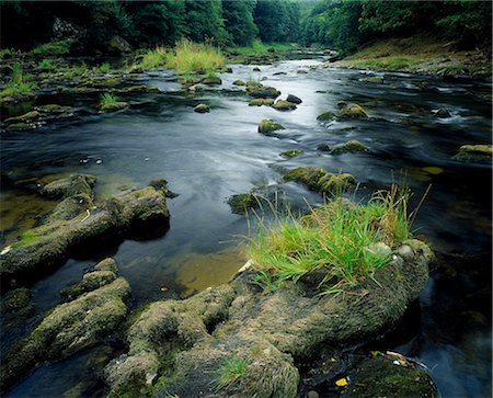River Esk. Stock Photo - Rights-Managed, Code: 862-03361427