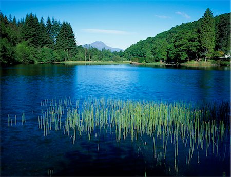 Loch Ard on the route from Aberfoyle to Loch Katrine. Foto de stock - Con derechos protegidos, Código: 862-03361484