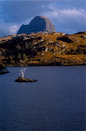 simsearch:862-03361507,k - Suilven und Baum am Loch Culag. Stockbilder - Lizenzpflichtiges, Bildnummer: 862-03361504