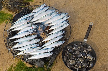 simsearch:862-03361558,k - Cooking freshly caught mackerel and mussels at a beach barbecue on Colonsay Foto de stock - Con derechos protegidos, Código: 862-03361536