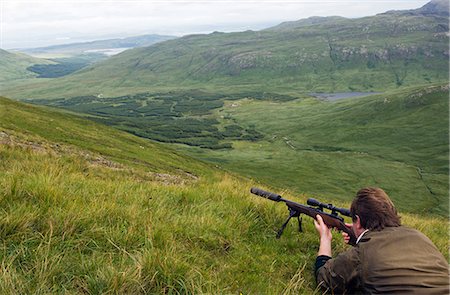 stalking - Getting ready to take a shot at a red deer stag on Benmore Estate Foto de stock - Con derechos protegidos, Código: 862-03361556