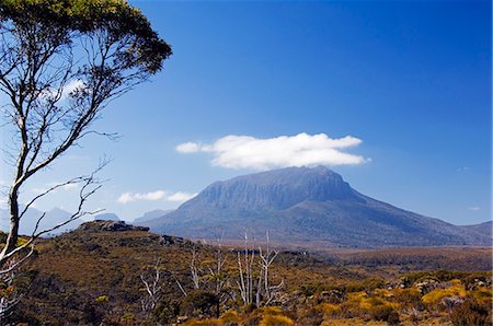 simsearch:862-03289075,k - Australie, Tasmanie, « Parc National de Cradle Mountain-Lake St Clair ». Mont Pélion ouest sur la piste Overland Track - partie Tasmanian Wilderness Site du patrimoine mondial. Photographie de stock - Rights-Managed, Code: 862-03436918