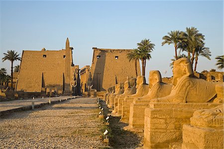 east bank - The Avenue of Sphinxes leading up to Luxor Temple,Egypt Stock Photo - Rights-Managed, Code: 862-03437025