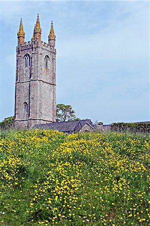 simsearch:862-03361473,k - Buttercups in front of Widecombe-in-the-Moor Church,Dartmoor Stock Photo - Rights-Managed, Code: 862-03437034