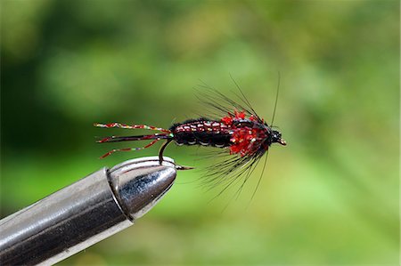 pesca con la mosca - UK. A trout fishing fly simulating a nymph secured in a fly-tying vice. Fotografie stock - Rights-Managed, Codice: 862-03437065