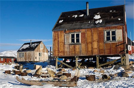 simsearch:862-03711697,k - Grönland, Ittoqqortoormiit. Die isolierten Dorf von Ittoqqortoormiit (Scoresbysund) liegt an der Nord-Ost-Küste Grönlands. Es hat 2 Lebensmittel-Lieferungen im Jahr mit dem Boot. Ein Team von Huskys liegen neben ihren Schlitten. Stockbilder - Lizenzpflichtiges, Bildnummer: 862-03437095