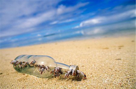 Indonesien, Sulawesi, Banggai-Inseln. Barnacle verkrustete Flasche an einem leeren Strand Sago-Atoll. Stockbilder - Lizenzpflichtiges, Bildnummer: 862-03437103