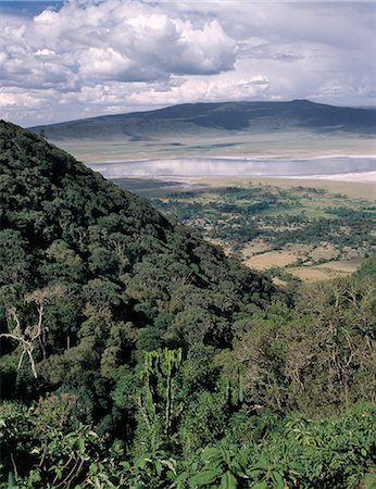 simsearch:862-03821026,k - The world famous Ngorongoro Crater was declared a World Heritage Site in 1978. Its 102-square-mile crater floor is spectacular for wildlife. The crater is in fact a 'caldera' the largest unbroken,unflooded caldera in the world which was formed two and a half million years ago when a huge explosion destroyed the walls of a volcano standing about 15,000 feet high. . Foto de stock - Con derechos protegidos, Código: 862-03437405