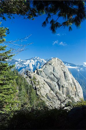 simsearch:862-03437452,k - USA,California,Sequoia National Park. Moro Rock. Foto de stock - Con derechos protegidos, Código: 862-03437435